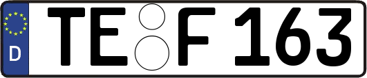 TE-F163