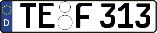 TE-F313
