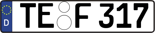 TE-F317