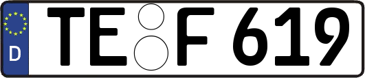 TE-F619