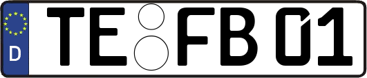 TE-FB01