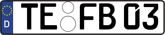 TE-FB03