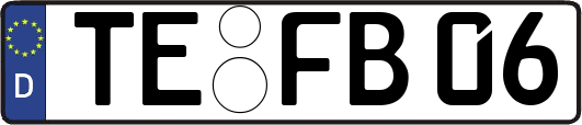 TE-FB06