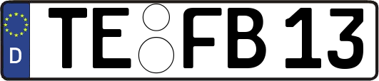 TE-FB13