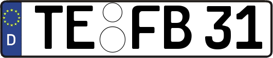 TE-FB31