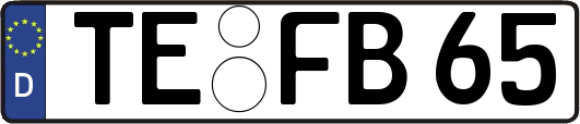TE-FB65