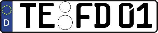 TE-FD01