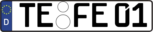 TE-FE01