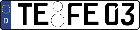 TE-FE03