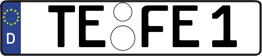 TE-FE1