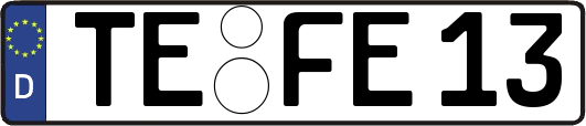TE-FE13