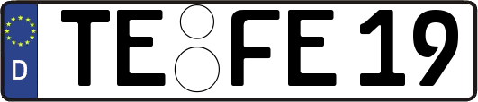 TE-FE19