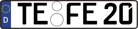 TE-FE20