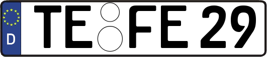 TE-FE29