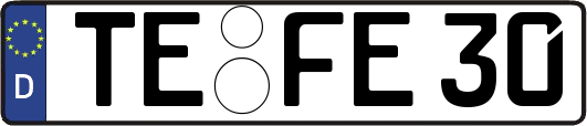 TE-FE30