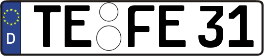 TE-FE31