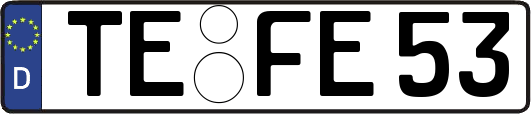 TE-FE53