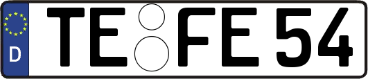 TE-FE54
