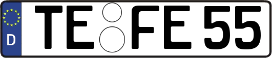 TE-FE55