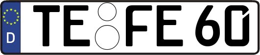 TE-FE60