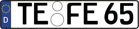 TE-FE65