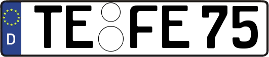 TE-FE75