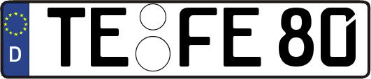 TE-FE80