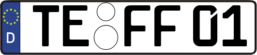 TE-FF01
