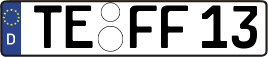 TE-FF13
