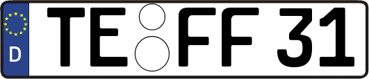 TE-FF31
