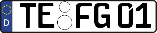 TE-FG01