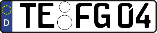 TE-FG04