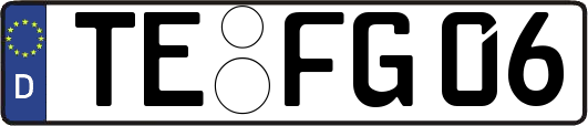 TE-FG06