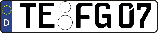 TE-FG07
