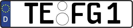 TE-FG1