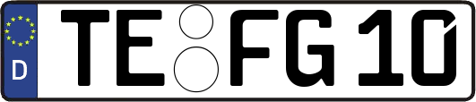 TE-FG10