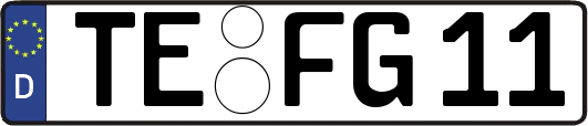 TE-FG11