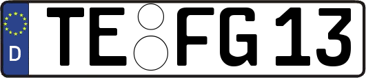 TE-FG13