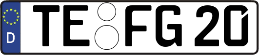 TE-FG20