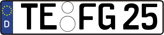 TE-FG25
