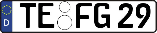 TE-FG29