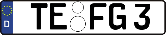 TE-FG3