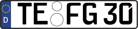 TE-FG30