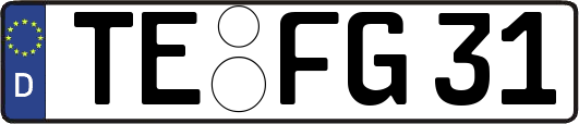 TE-FG31