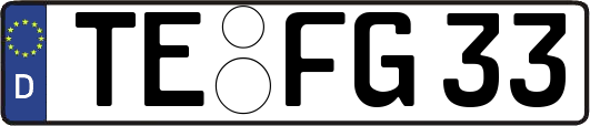 TE-FG33