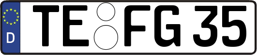 TE-FG35