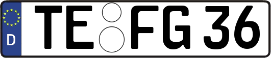 TE-FG36
