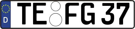 TE-FG37