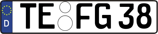 TE-FG38