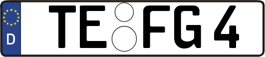 TE-FG4